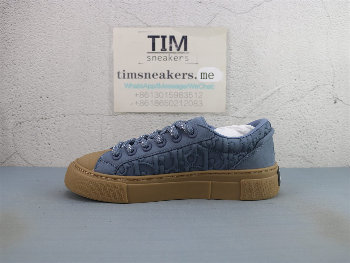 Stone Island X DIOR B33 Skateboard Shoes Men Low-Top Blue